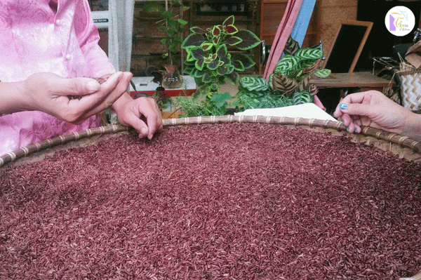 Red Brown Rice Hand - Roasted Tea