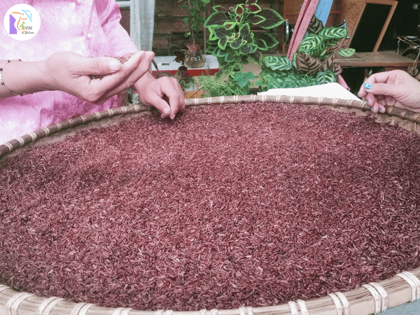 Red Rice Sprouted And Roasted Powder