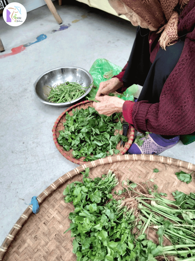 Celery Stalk Powder GBA Nature