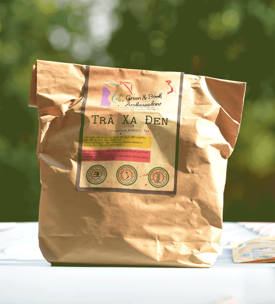 Celastrus Hindsii Leaves GBA Nature